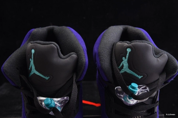 Rep Air Jordan Alternate 136027-500 Retro Grape 5 0811